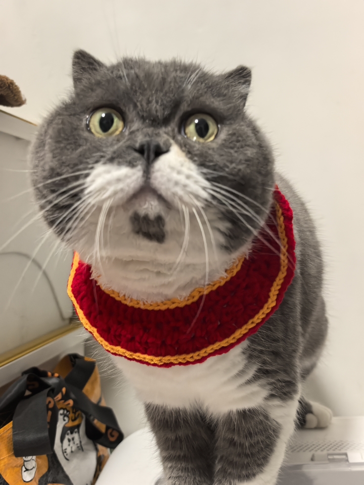 🧨过年战袍+1！年味氛围感满满测