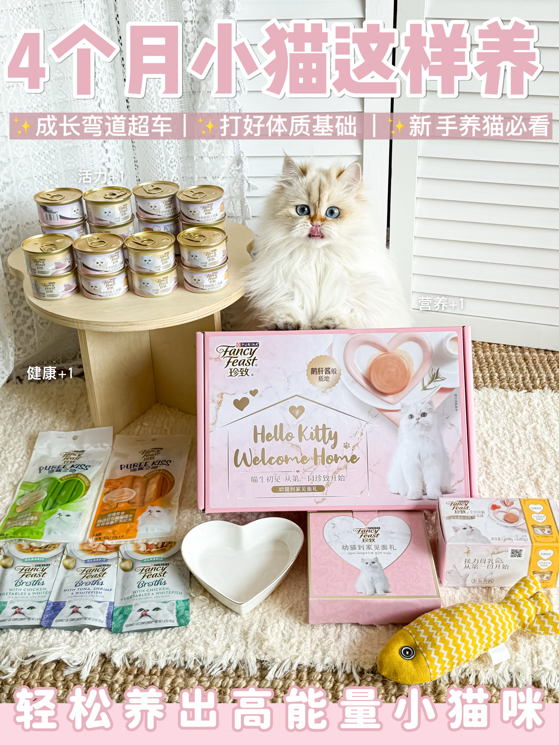 四月龄幼猫跟我这样养！轻松打好体质基础~