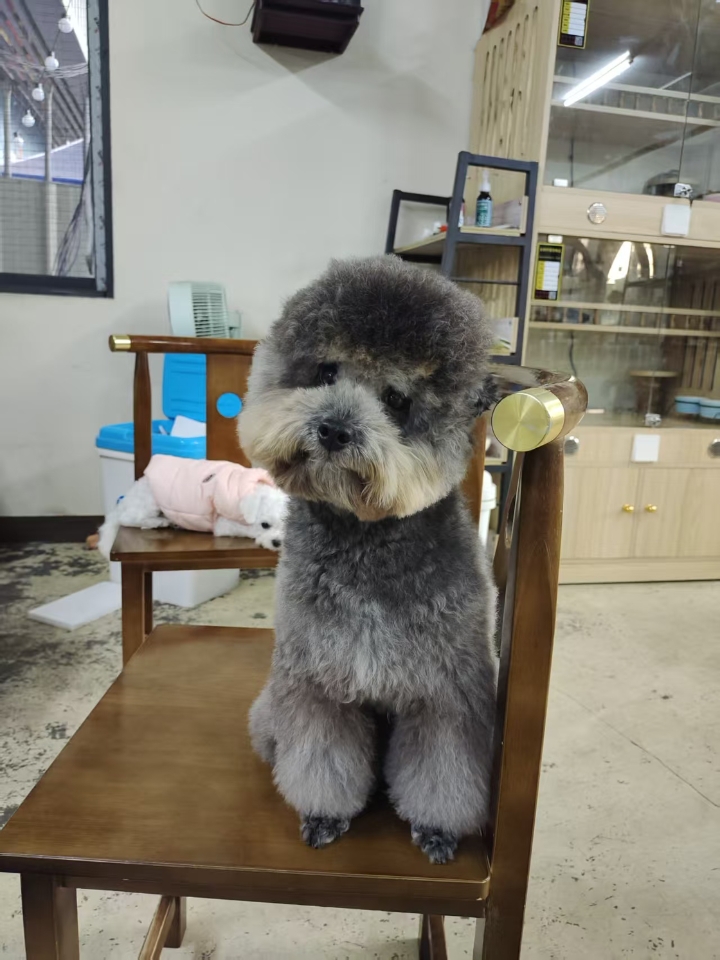 狗狗神经炎一旦不重视，后果很严重！！ ————————————————— 作为过来人来告诫一下大家，狗狗一旦出现了有食欲不振、四肢无力、走路不稳等情况，一定要及时的带它到正规的宠物医院去检查治 疗，否则一旦初期忽视了治 疗，错过zui佳的治 疗时间，到之后会越来越麻烦的 ————————————————— 事情是这样的，我家狗狗是只6岁的法斗，上个月有一天，我带它出去散步的时候，就感觉它走路不是很...