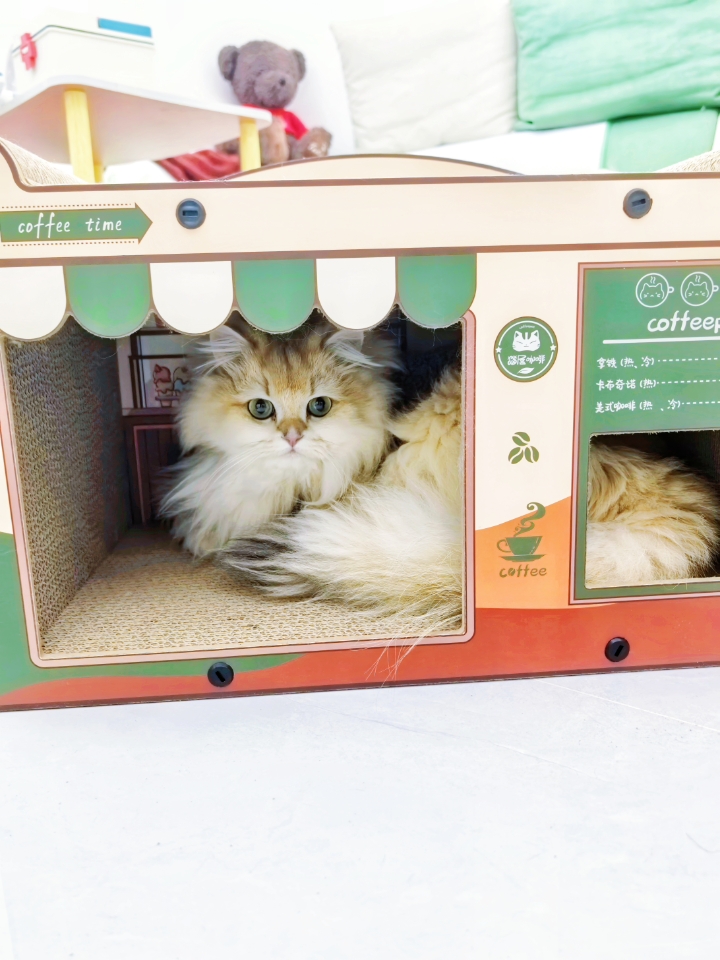 她真的好喜欢啊