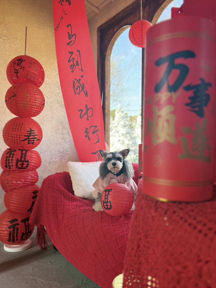 送个福给大家～～～