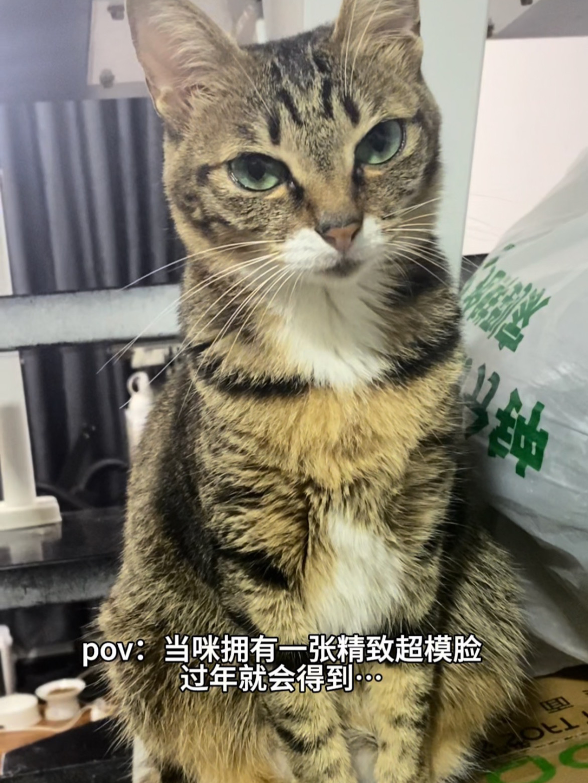 人、咪的6岁素颜还算精致吧！！