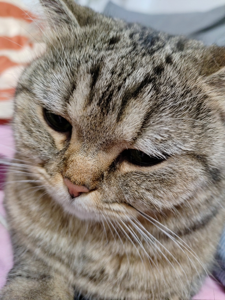 677e2163cbeed74442e2247e5757709827f4701226a14adeb67bd50a0f288506