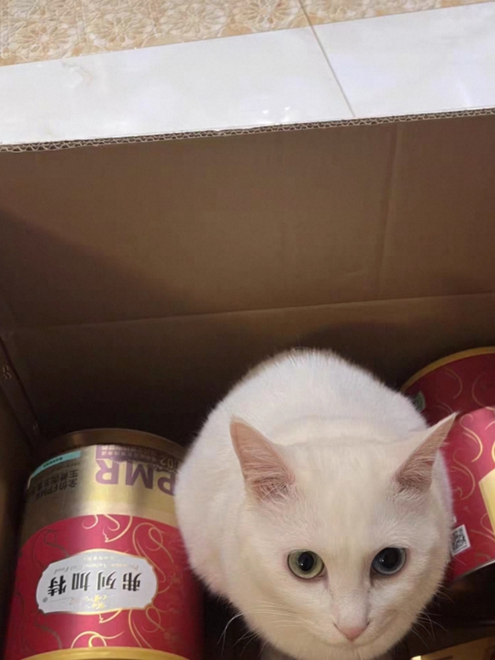 外观设计： 外观精致，很大气，包装很可爱，收到时整整齐齐的，成色可以 质量： 质量很好，冻干罐罐品质挺不错，颗粒完整，猫咪食用后无肠胃不适 适用场景： 生病了补充蛋白质首选，我家毛孩子很喜欢吃，口感也不错#测评/测评