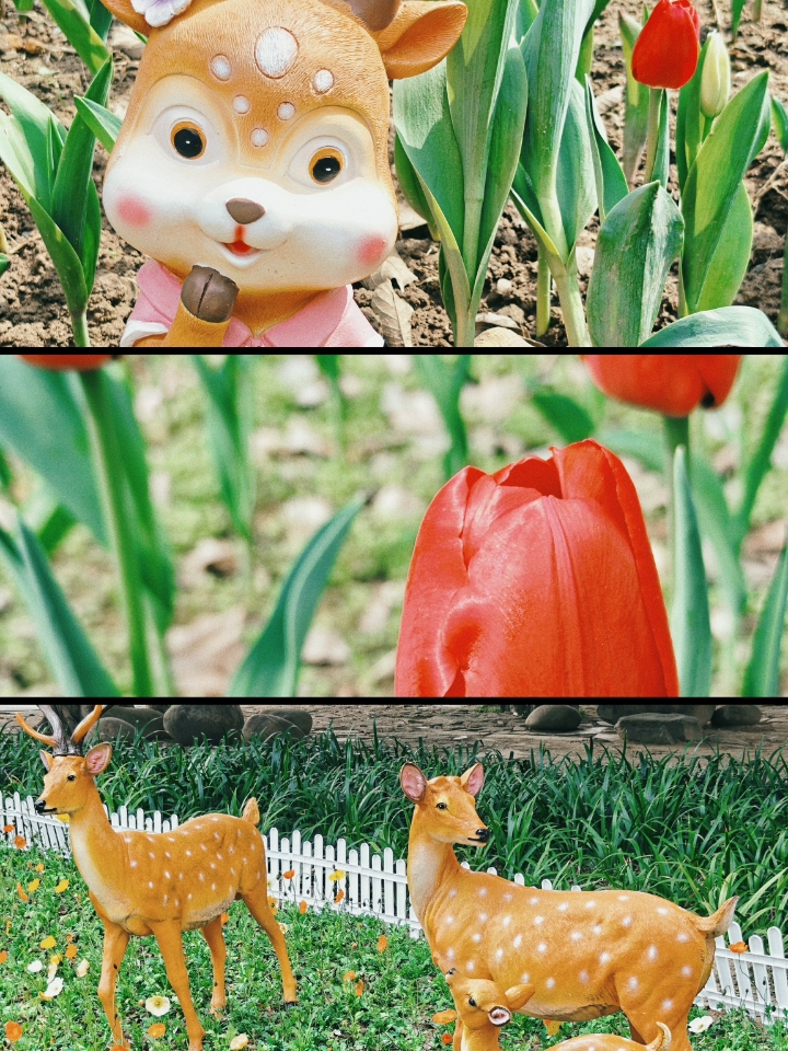 早春、小动物、花