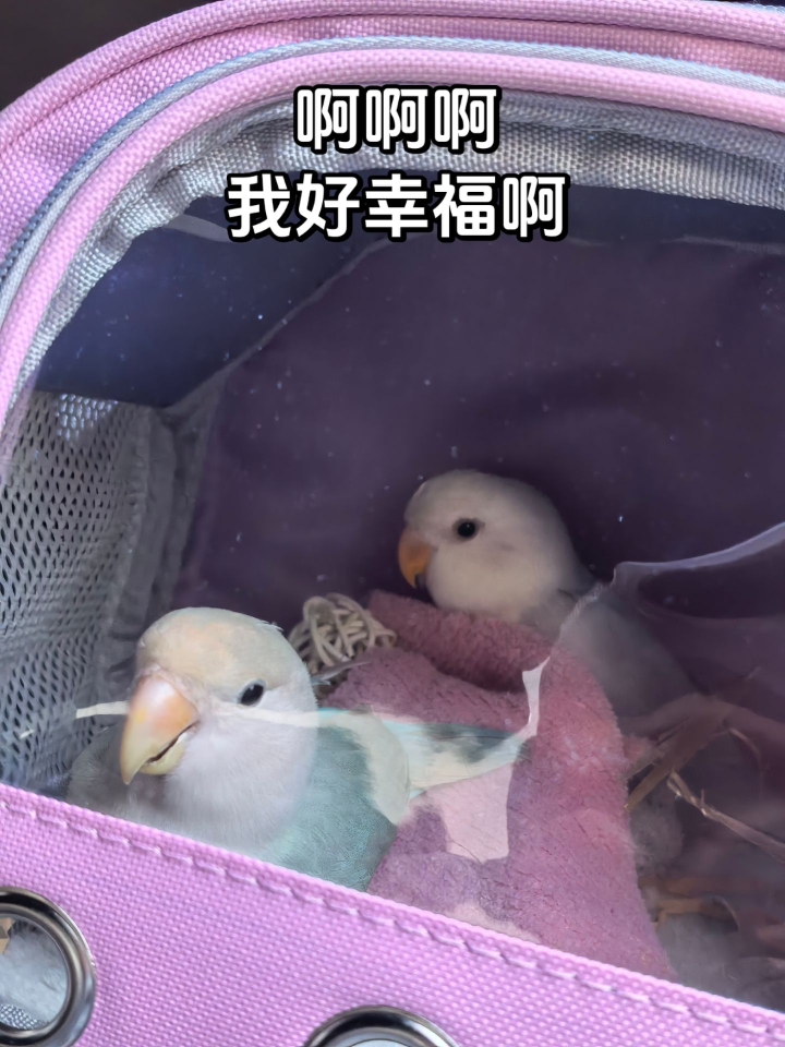 这画面真的好有幸福感啊！