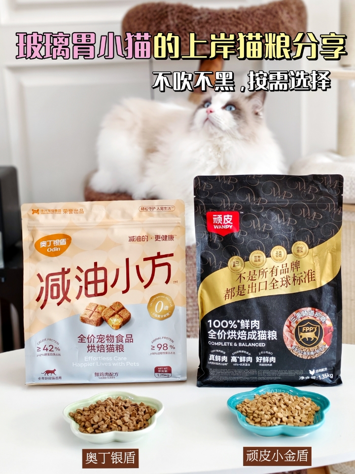 share｜玻璃胃猫咪的宝藏猫粮分享