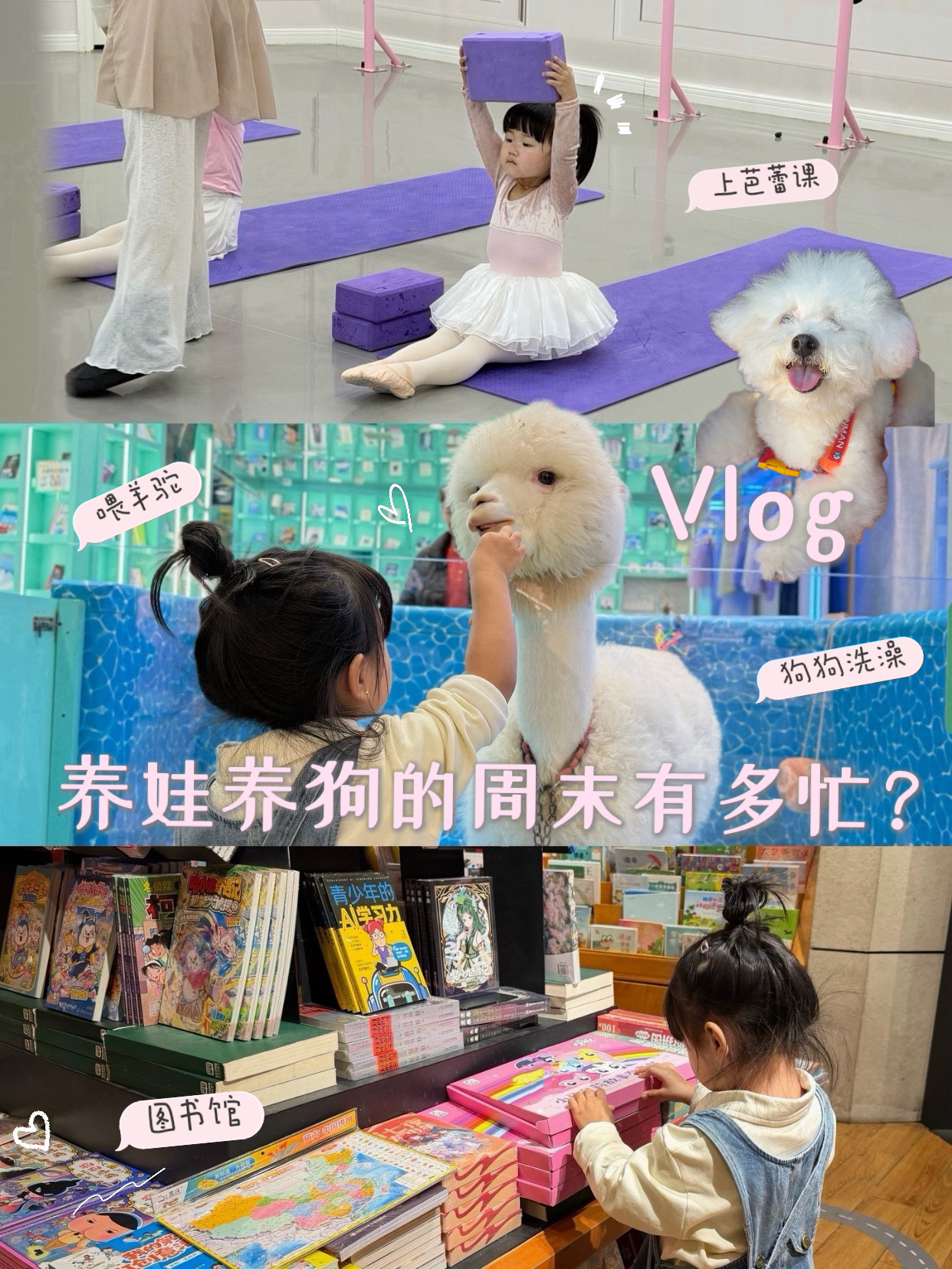 vlog🎀做好攻略养娃养狗的周末也井井有条！
