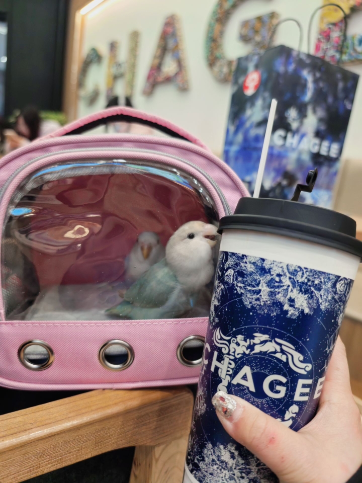 天天都要不定时叨我 就这还想喝奶茶！