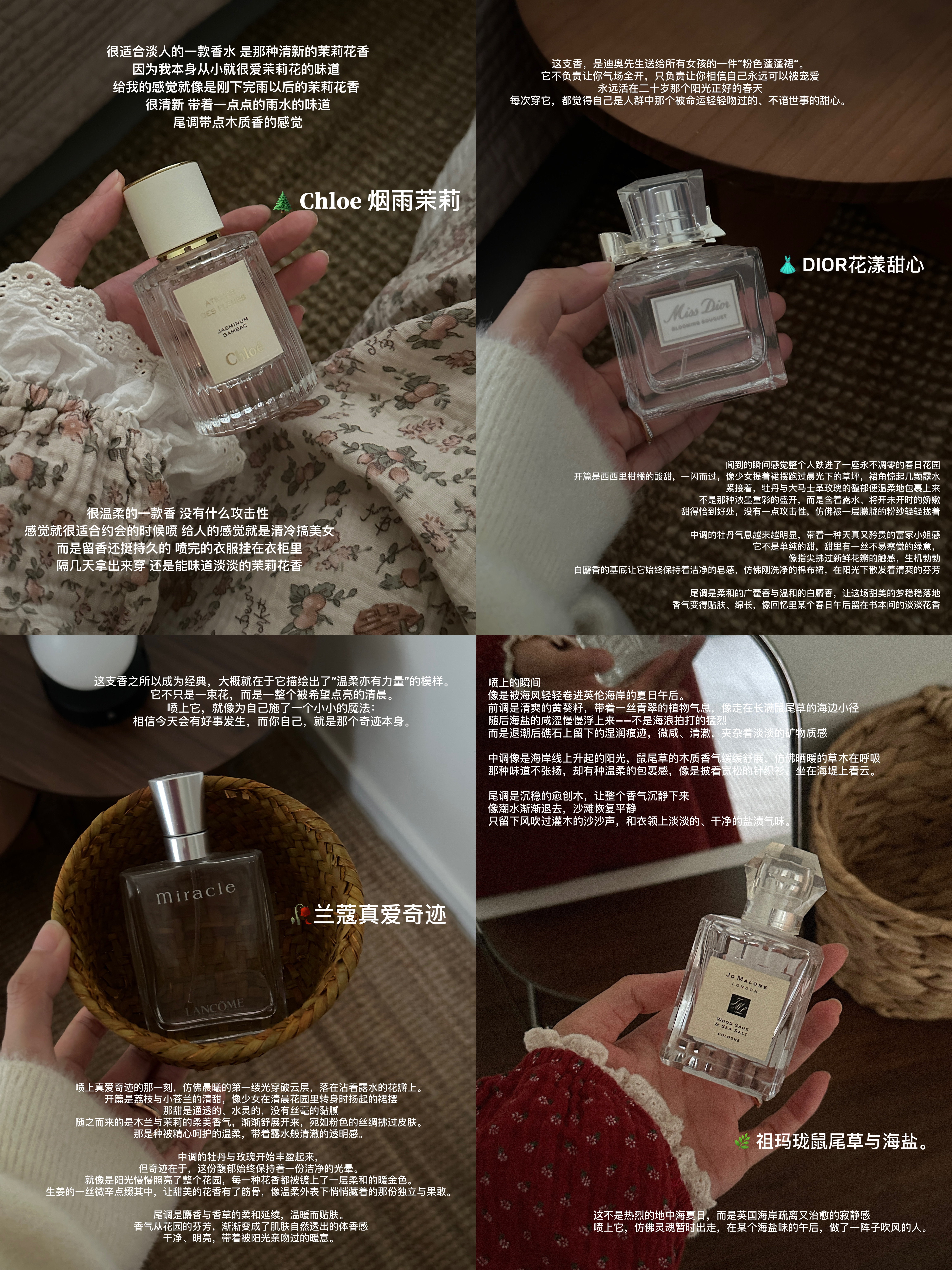 淡人能量场📗分享几个挚爱淡人香