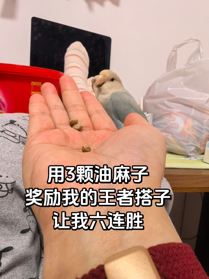 人 王者六连胜就用这敷衍我？