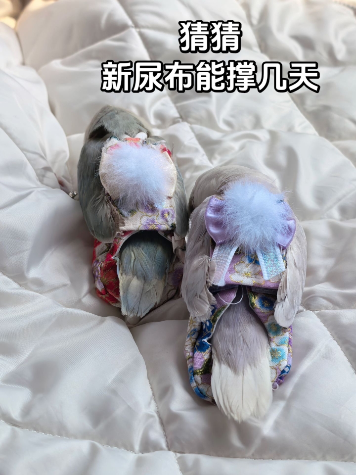 买的速度永远跟不上他两损害的速度