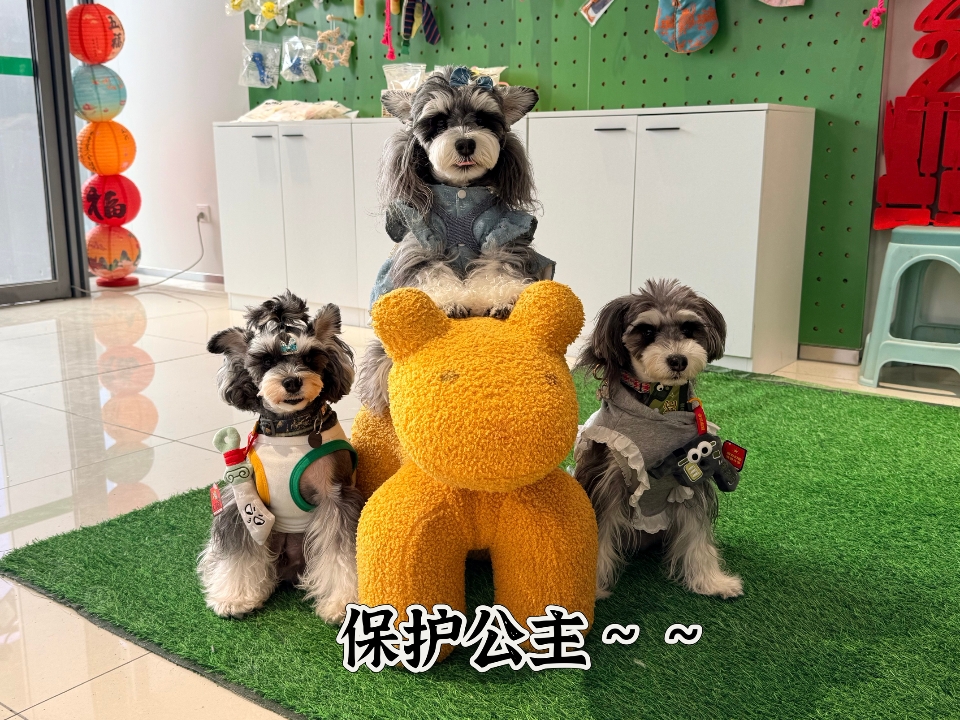 有保镖就是不一样～～