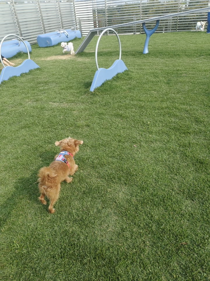 好玩，下次还来