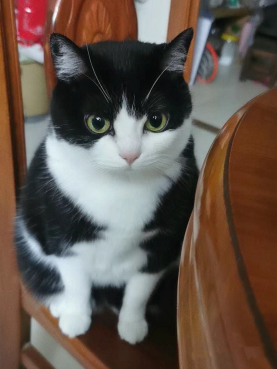 大时候vs小时候