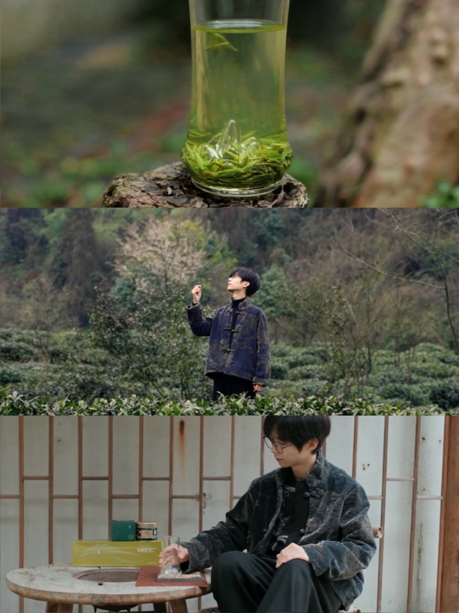 春日仪式感✨从一杯明前高山春茶竹叶青开始
