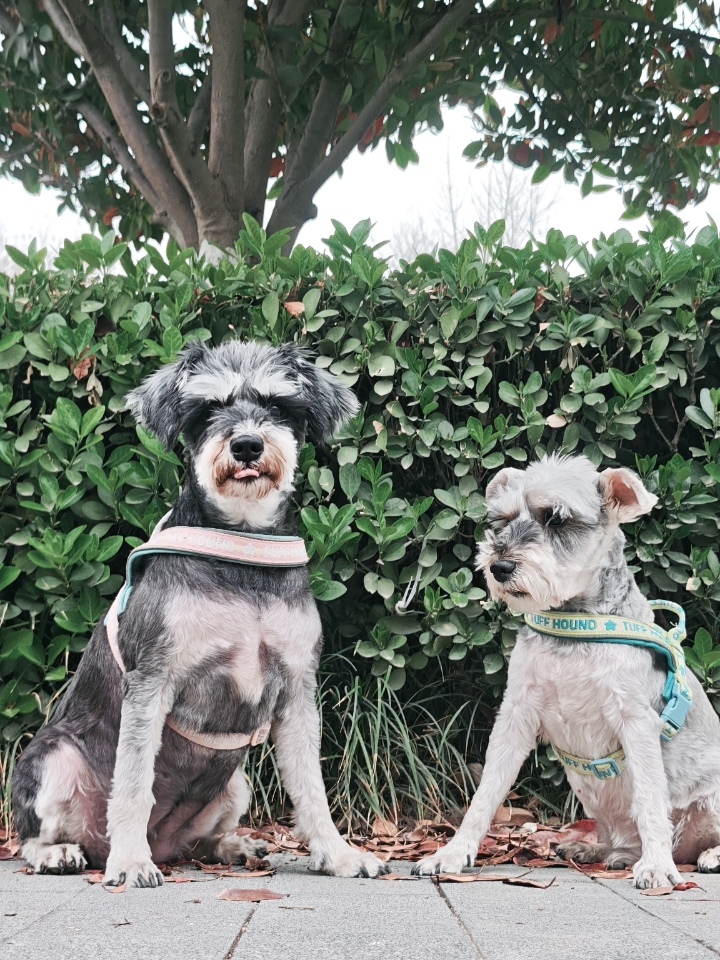 拍一点手机屏保给自己😂