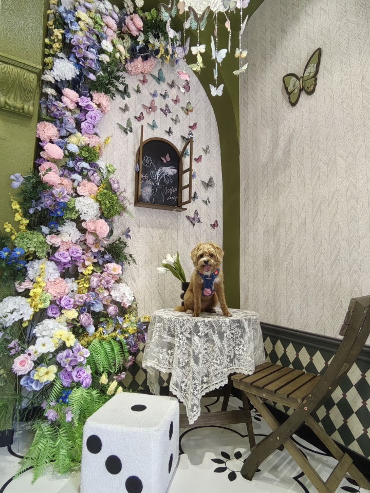 我在名宿等你来