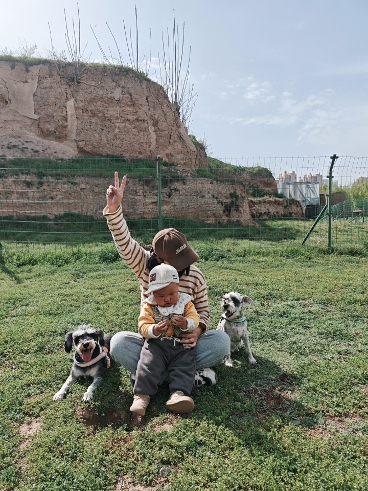 我的天下第一好的小狗们❤️