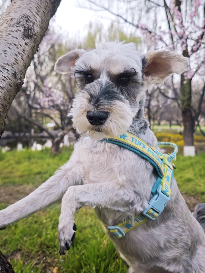 这几张照片有什么不同？我仔细看了看