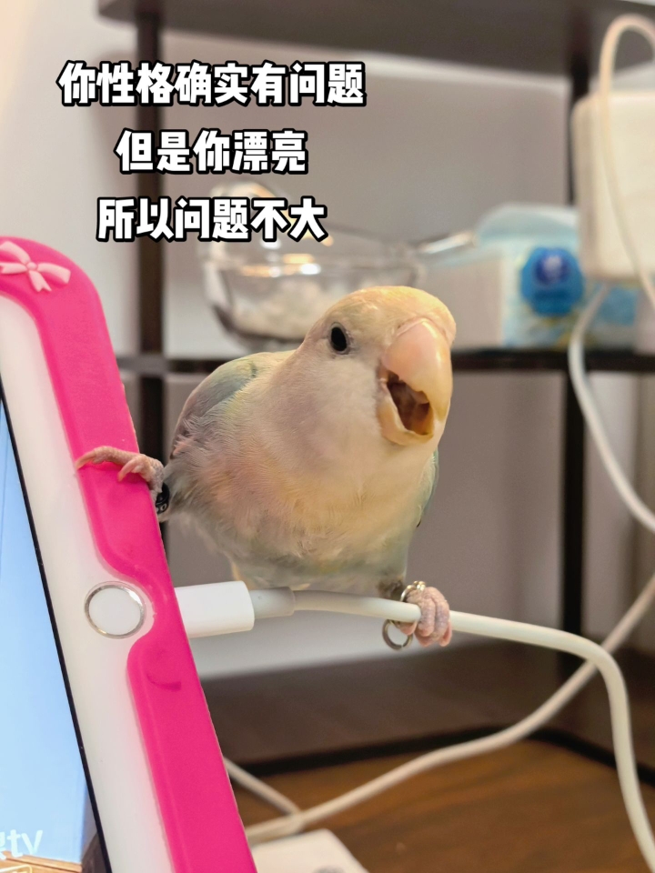 颜值决定一切……