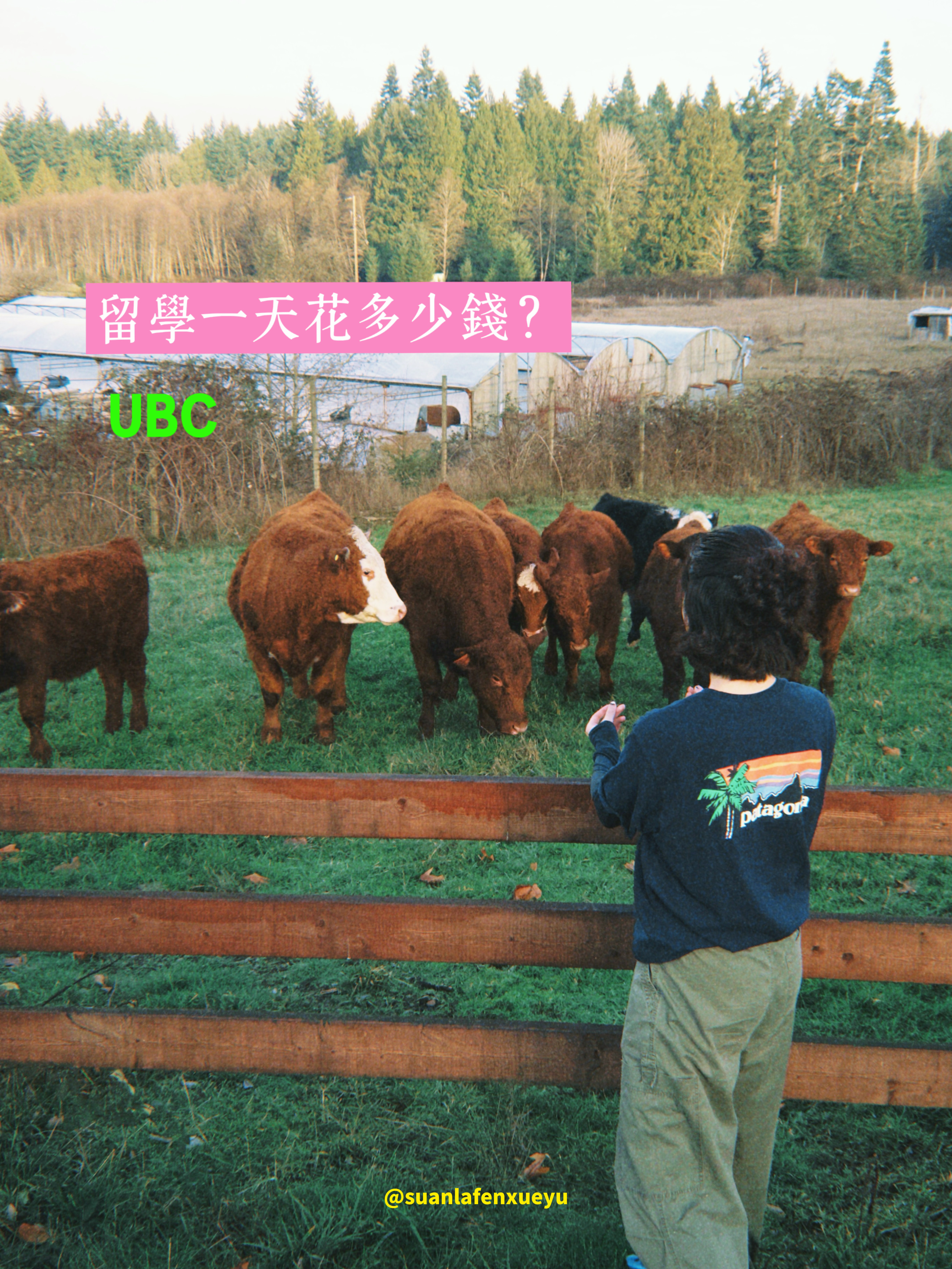 普通留子在加一日开销（不买贵物版）