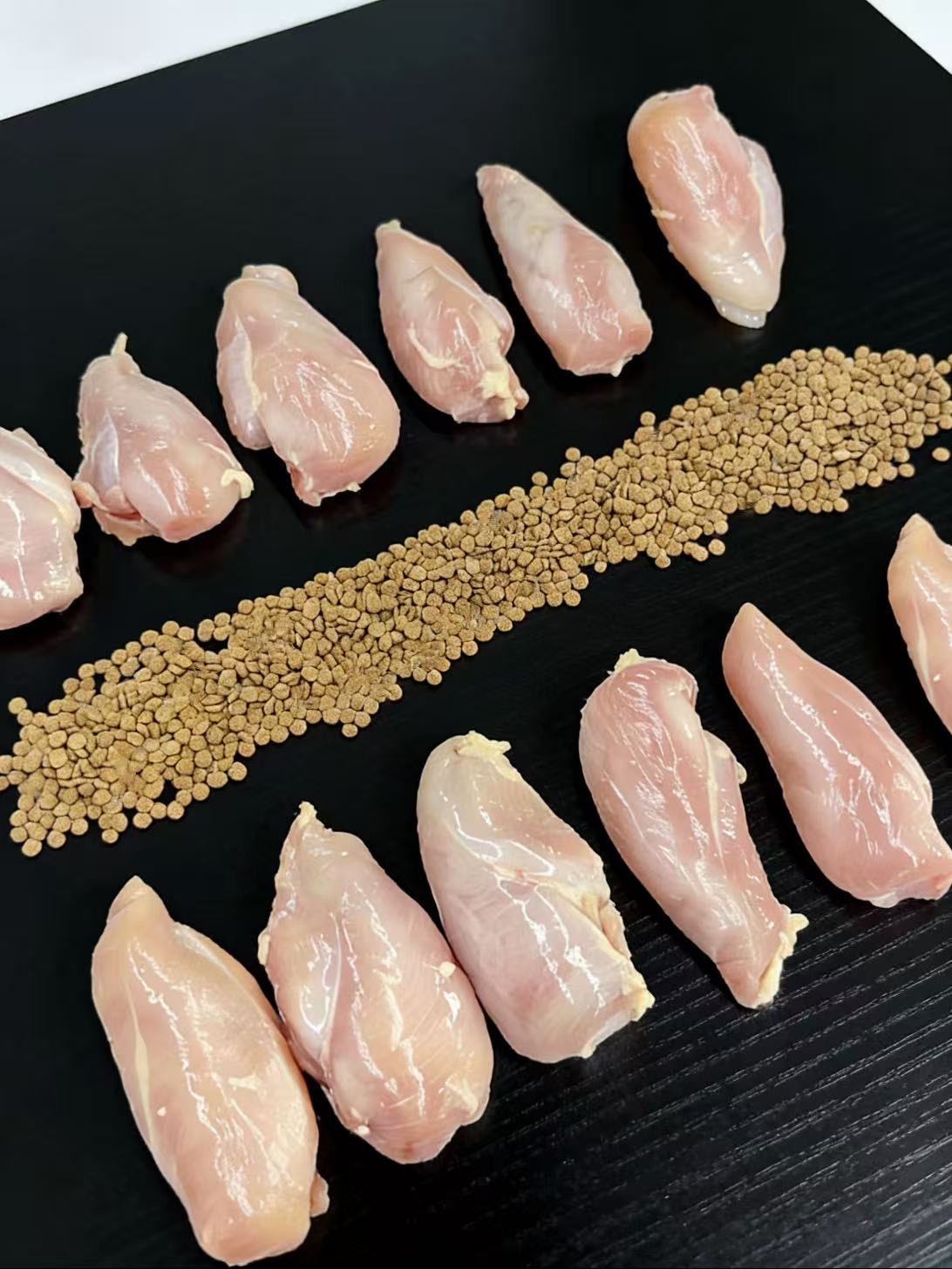 一袋=12块鸡胸肉 喂完爆改肌肉小猫了都！