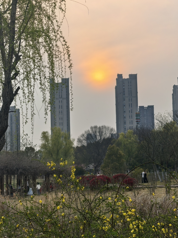 人生不摆烂 快乐少一半>ෆ<