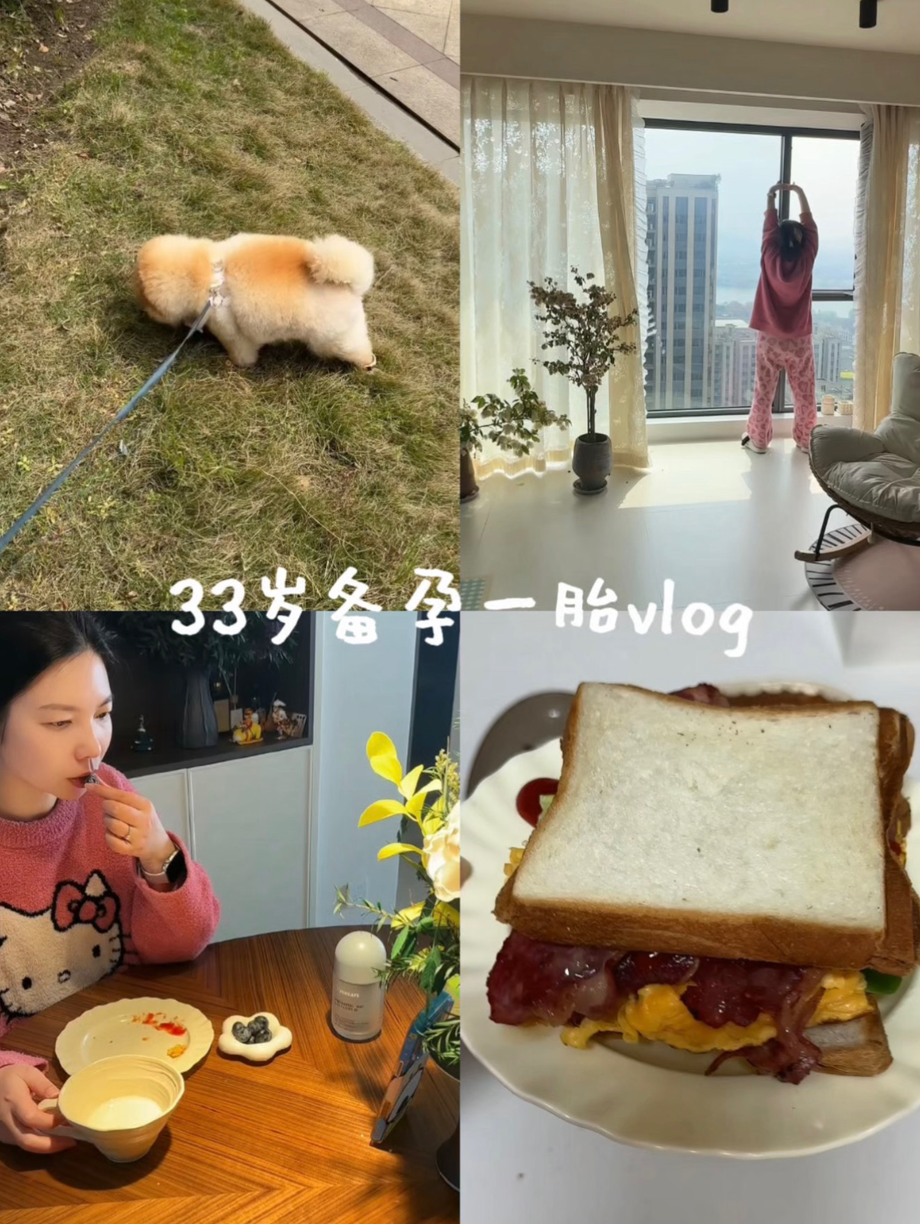 33岁备孕|把身体调成“易孕体质”我做了啥