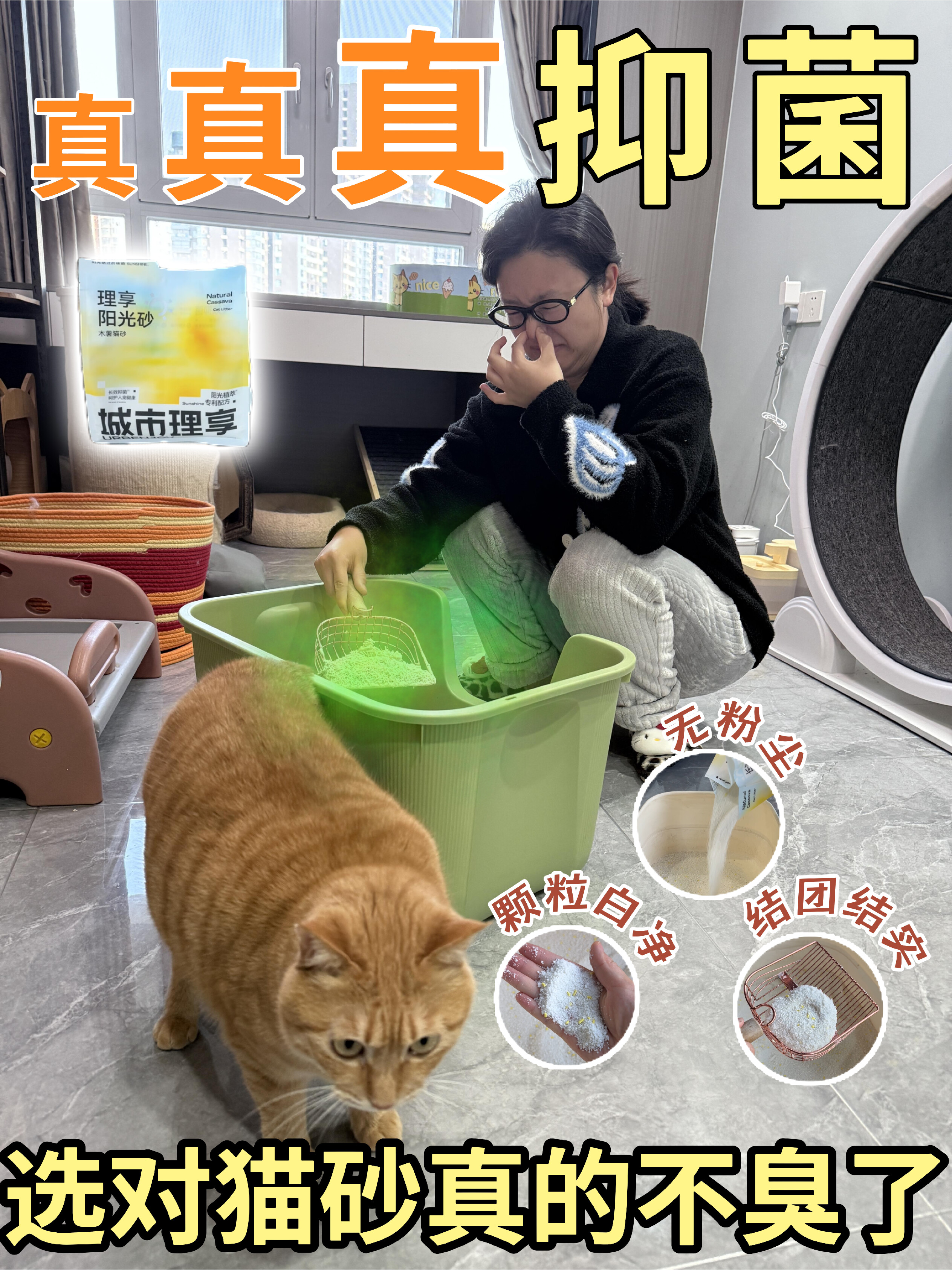 别骂了！猫咪乱尿罪魁祸首竟是它！