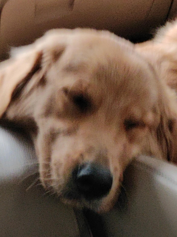 35856756734234657657567654262264324