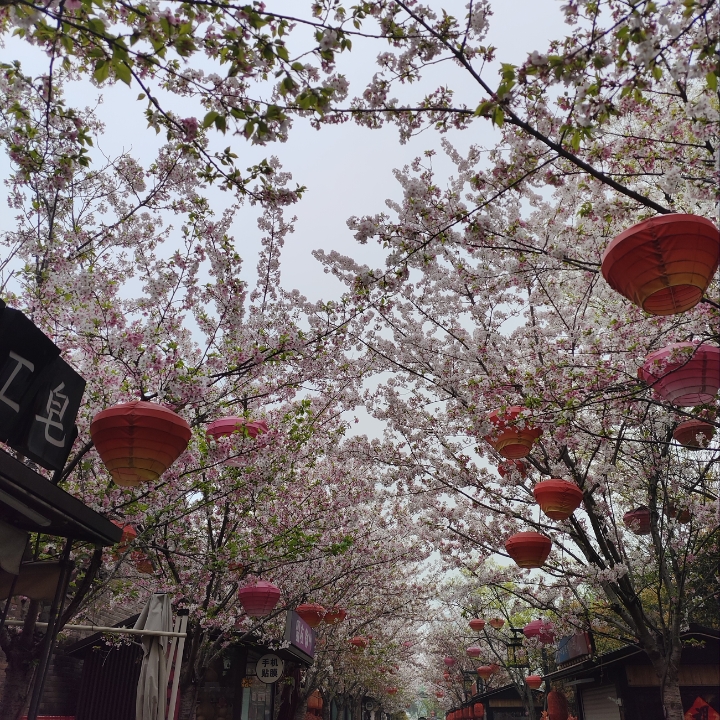 73573575375372373276286586286283