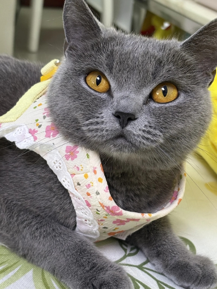 “Neo got my back Culture things Tech tech on my mind ”“Neo got my back Culture things Tech tech on my mind ”