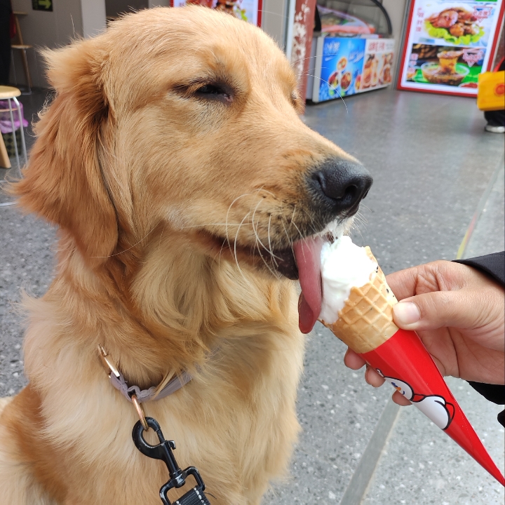 537567654327537354355325657658657