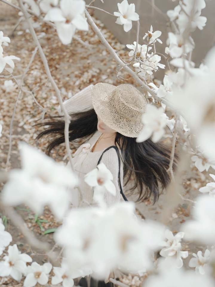 太原玉兰花，已经美到另一个境界｜ 一直觉得白玉兰有种说不出的干净，不浓艳不张扬，安安静静地开在枝头，偏偏又开得那么用力、那么坦荡。 · 太原晋源区政府主楼前这几棵，就是我心中白玉兰该有的样子——树形舒展，花量惊人，满枝满桠都是雪白，走近了能闻到淡淡清香，风一过，花瓣飘下来的时候最好看，整条小径都白了。 · 关键是花枝低，旁边还有石栏，站着就能平视取景，不用垫脚也不用把手机举老高，随便按几张都是“哇...