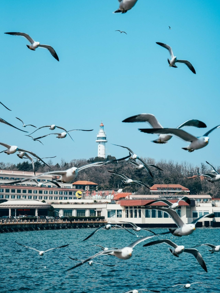 春天的烟台也太chill了，看海、喂海豹、吃包子，治愈满分｜ 从太原出发，坐火车，正好迎着阳光到烟台。春天的海风不燥，阳光正好，没有盛夏的喧嚣，只有治愈的浪花声。 · ✅ 玩什么？ Day1：太原→烟台山→东炮台海豹湾→渔人码头→烟大夜市 烟台山：登上灯塔俯瞰烟台全景，山下的朝阳街全是特色建筑，可以一起逛。 东炮台海豹湾生态保育公园：这里的斑海豹超萌！可以买小鱼喂食，还能和它们互动拍照。不过注意：...