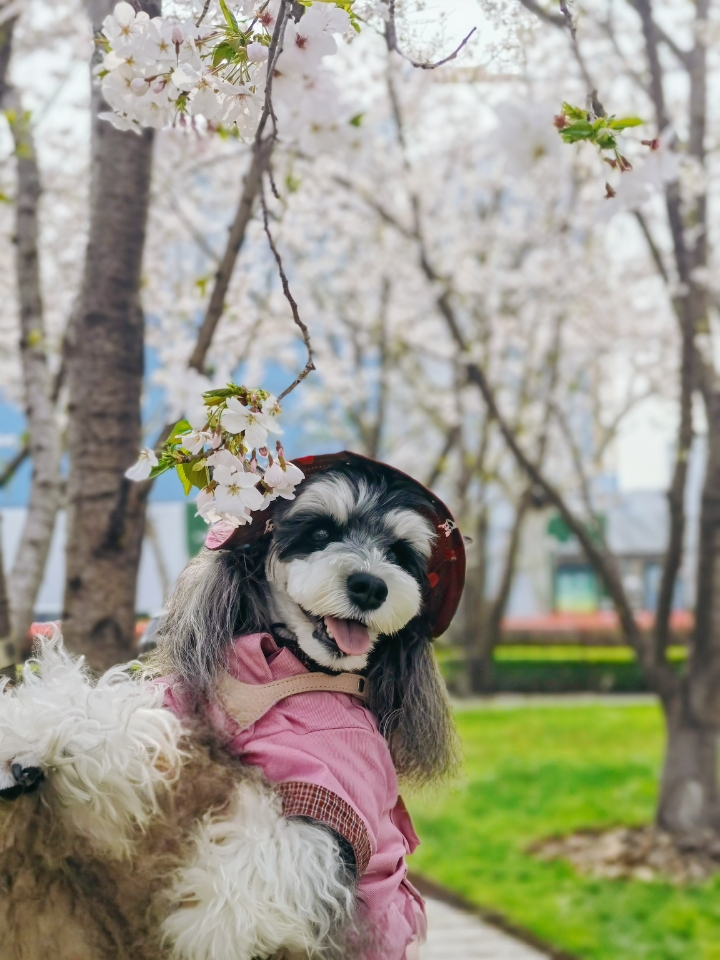 幼稚园小朋友春游啦～～～