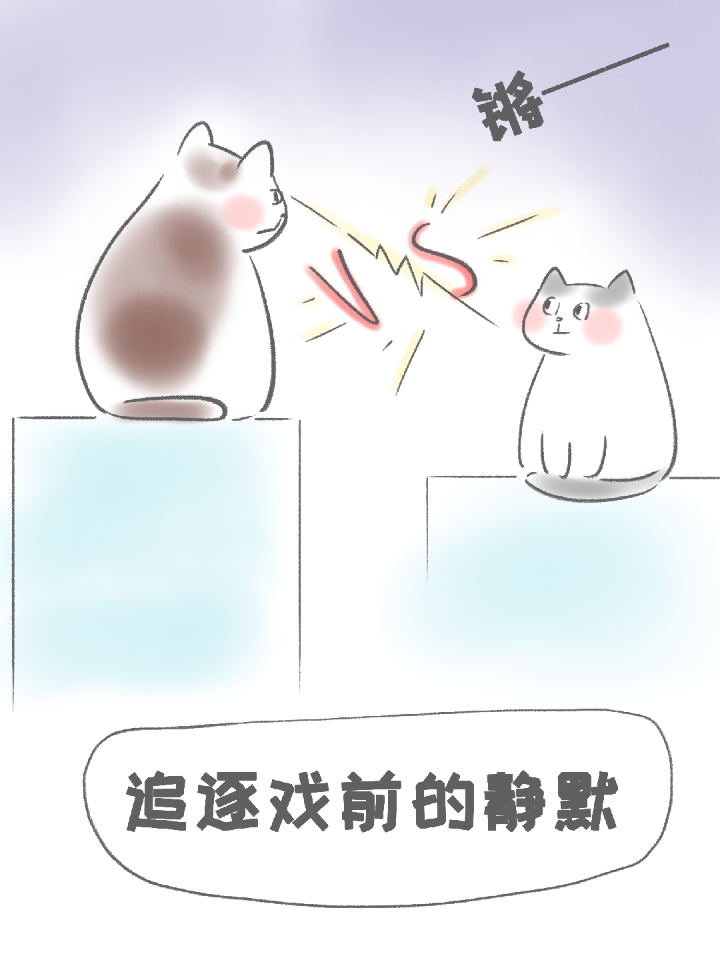 追逐戏前的静默