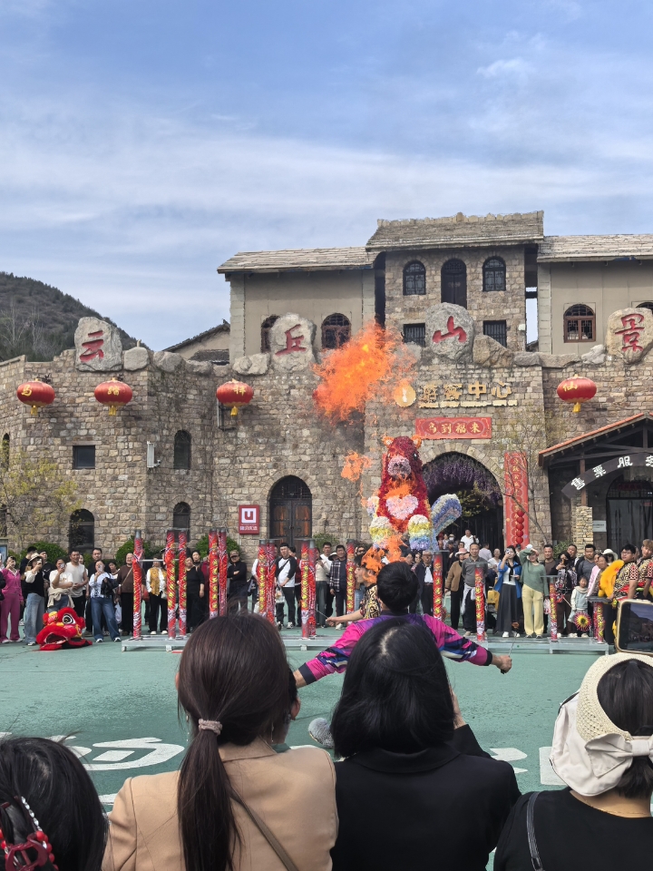 铲屎官的快乐碎片🧩