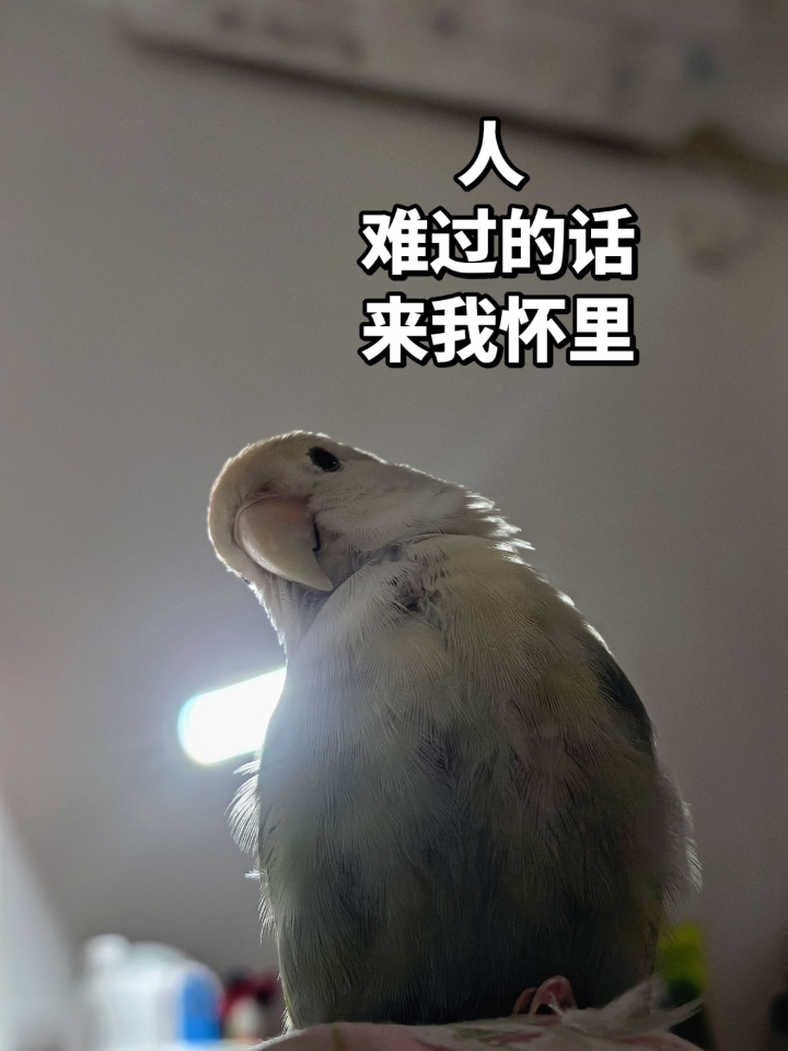 人 我的胸怀很宽广(〃'▽'〃)