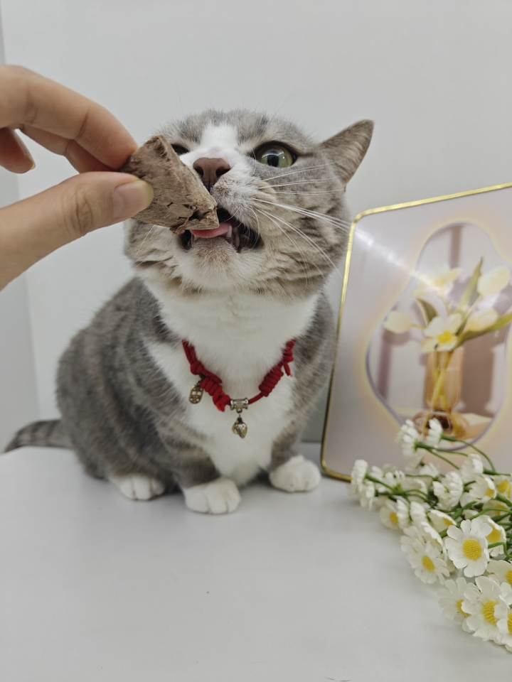 生生不息冻干猪心测评～