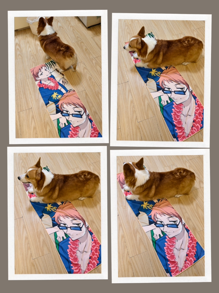 又以为是自己的