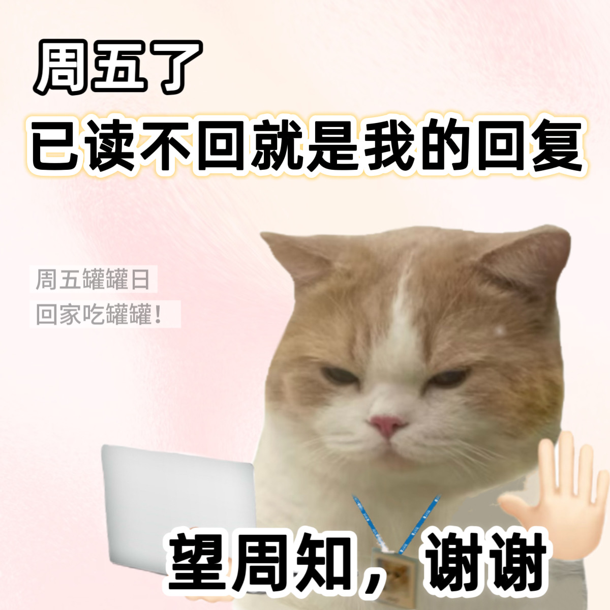 周五了周五了周五了！！