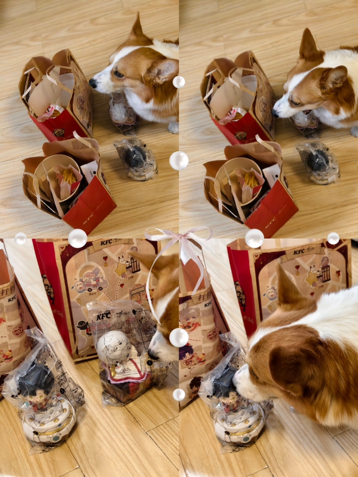 你也喜欢这个玩具吗