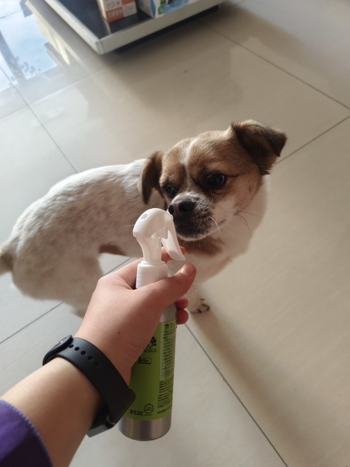 APDC驱虫喷雾测评