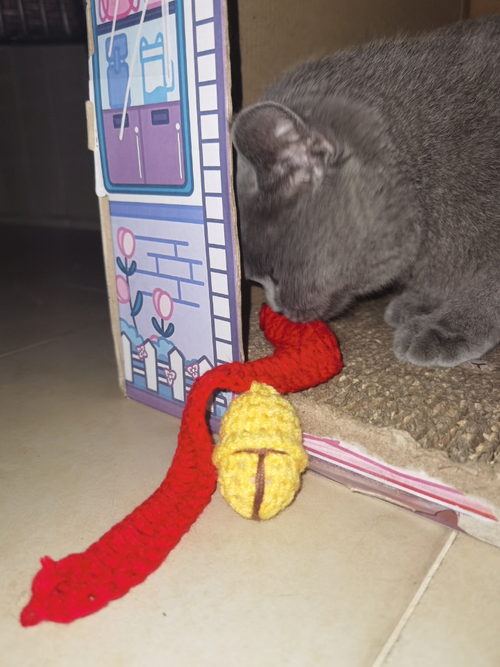 中德眼镜（哎呀老公，睇唔清啊），良恩堂虫草（发现一根假虫草，立赔一万蚊！），蒸汽眼贴（八姑太子炳“…眼睛🧳又干～”诶呀老婆，点解个电视机突然间蒙查查嘅）