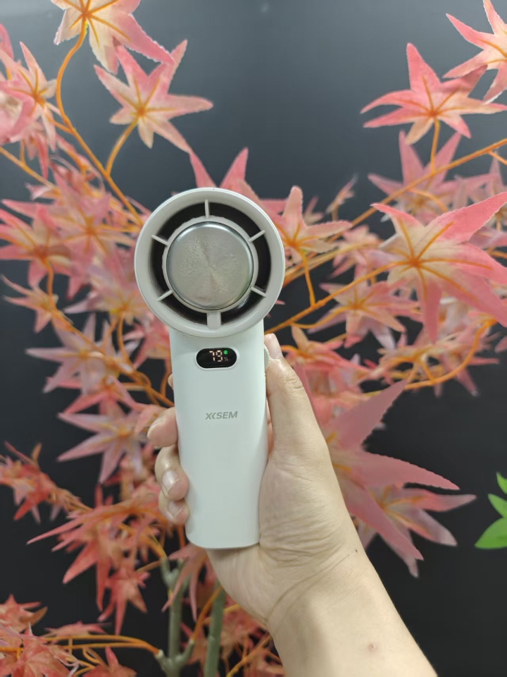 有了它之后我竟然开始期待夏天！