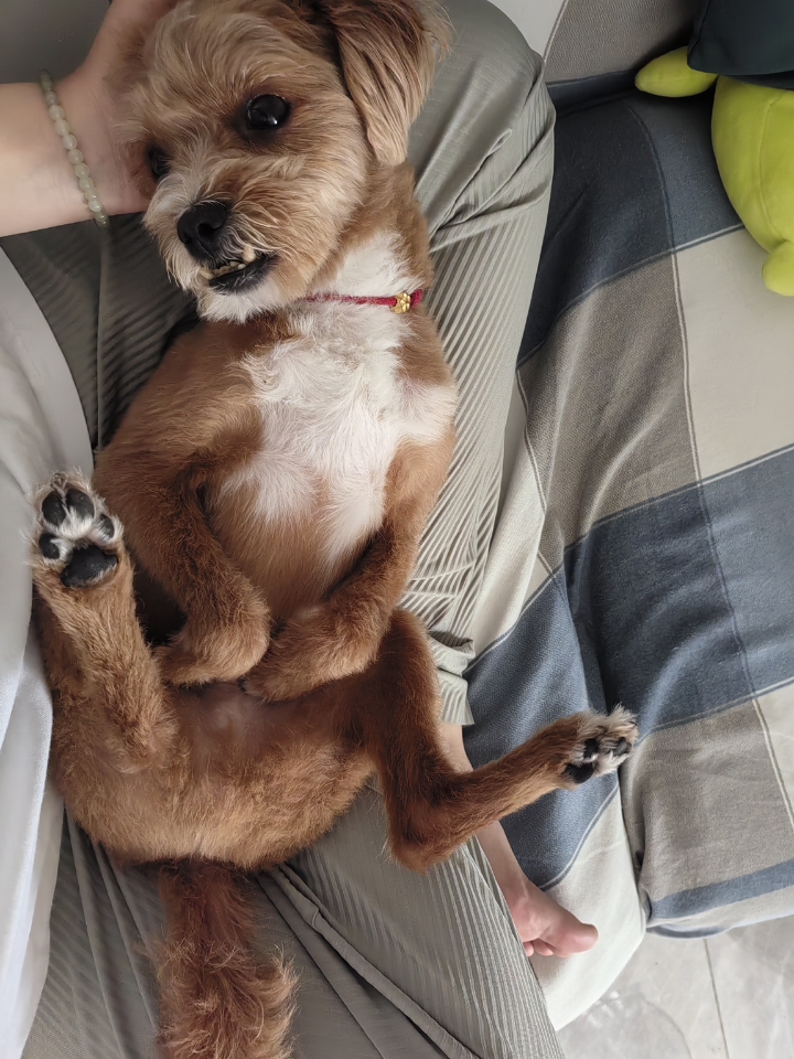 四仰八叉具象化