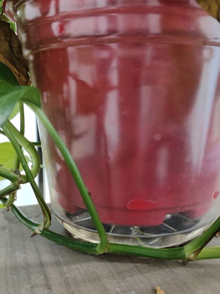 65756753453765735735723723753765865