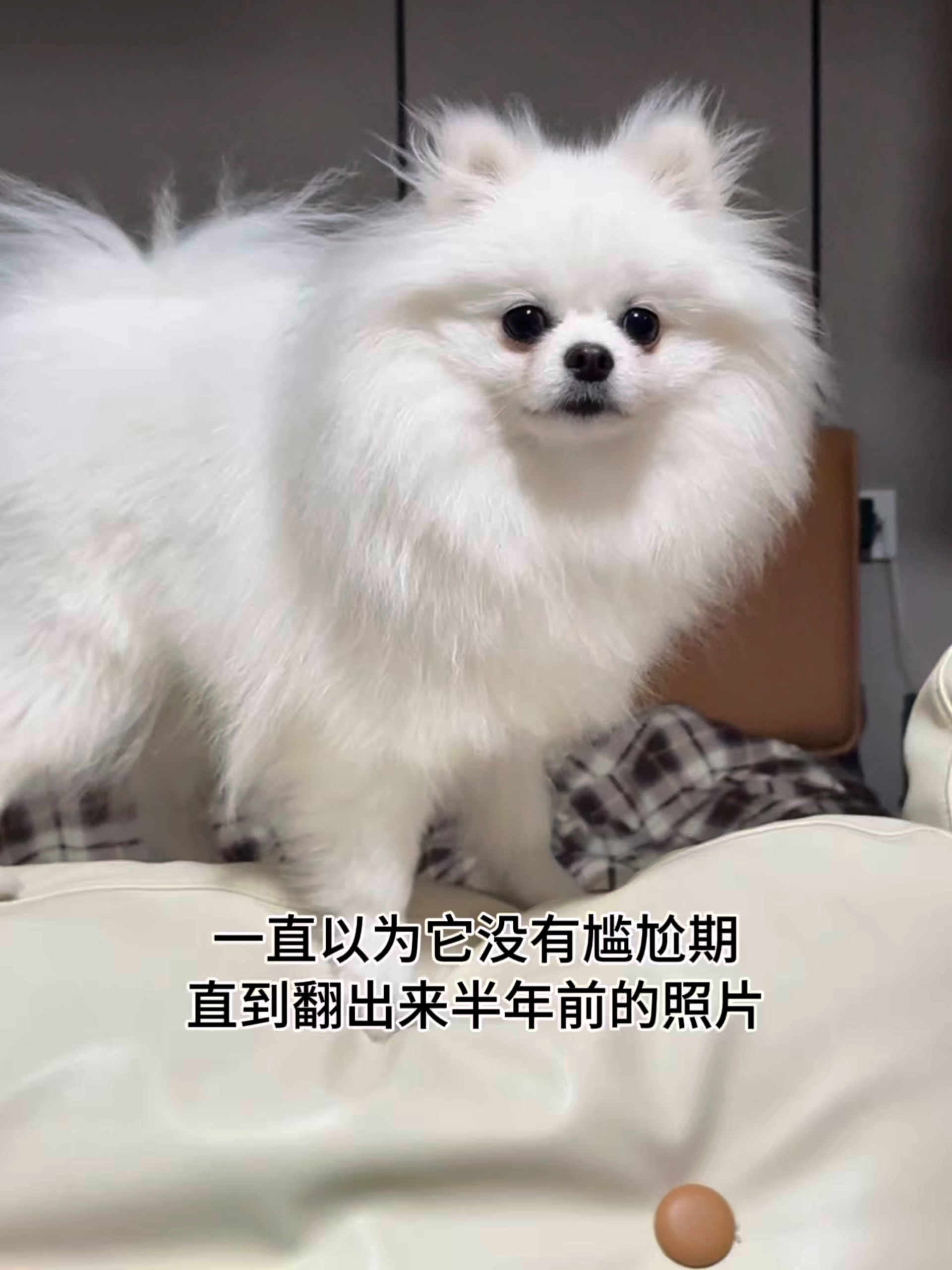 亲妈滤镜让人蒙了心…